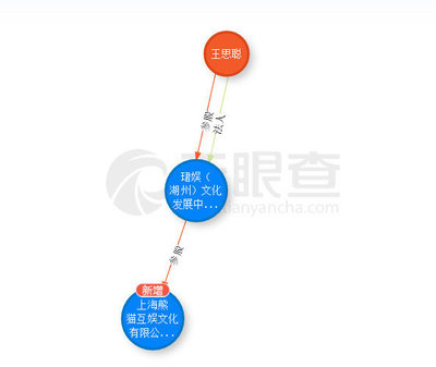 起底王思聰投資神話 吹出來(lái)的泡沫？